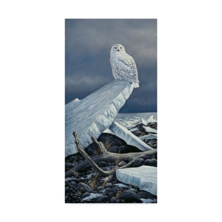 Trademark Fine Art Wilhelm Goebel 'Lakeshore Ice' Canvas Art, 16x32 ALI33855-C1632GG